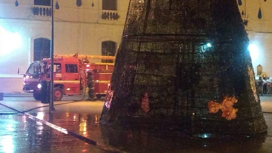 Antes del incendio, la comunidad evidenció a unos sujetos en estado de embriaguez al lado del árbol . Foto: Bomberos Popayán
