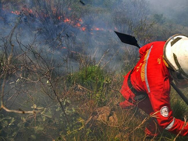 En Santander robaron a los bomberos de Ocamonte mientras apagaban un incendio. Foto: Getty Images