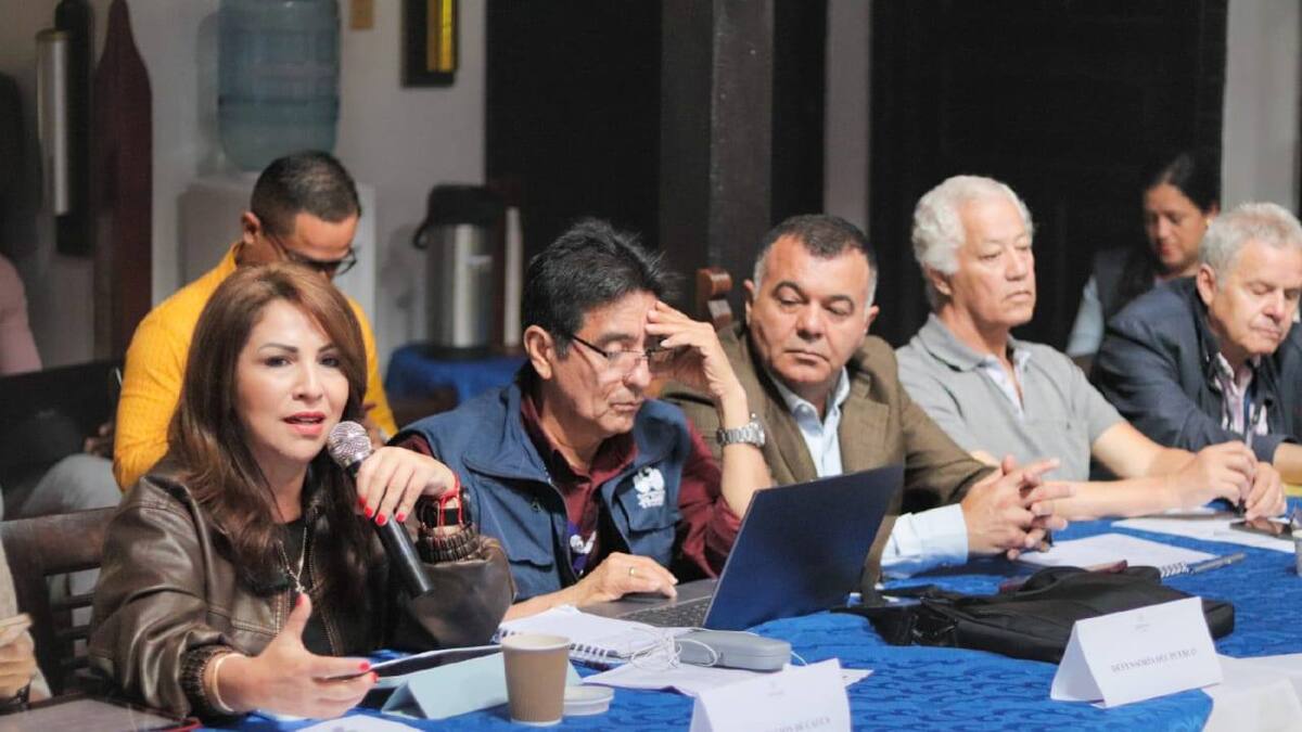 Amplían alerta temprana de la Defensoría del Pueblo a municipios del Macizo Colombiano en Cauca