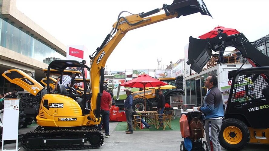 Millonarias pérdidas en el sector de plantas vivas y de ornamentales, podría dejar sin trabajo a miles de personas. Foto: Colprensa