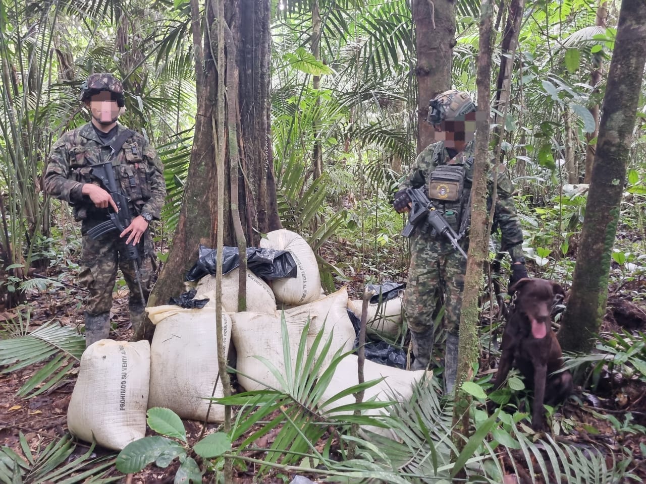 Incautan más de dos mil artefactos explosivos en el putumayo. Foto: Suministrada
