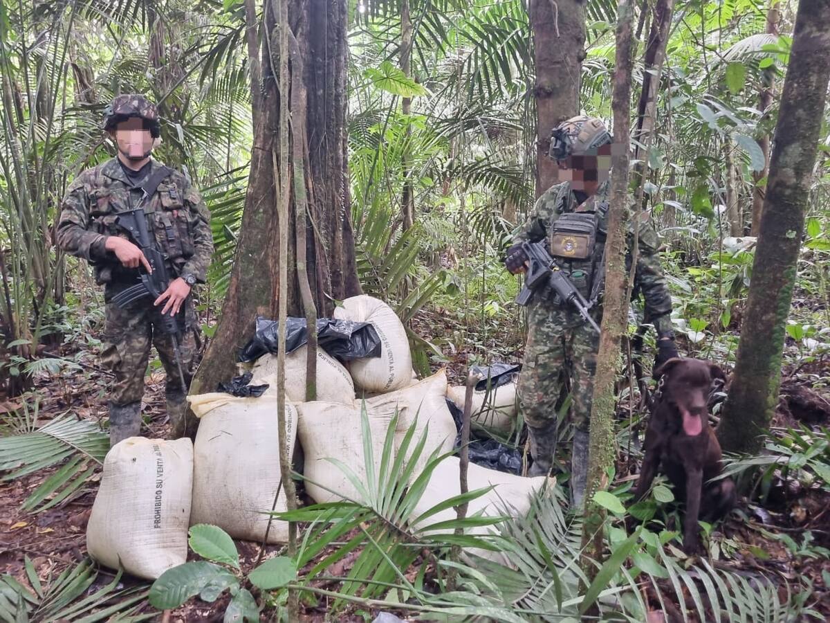 Incautan más de dos mil artefactos explosivos en el putumayo