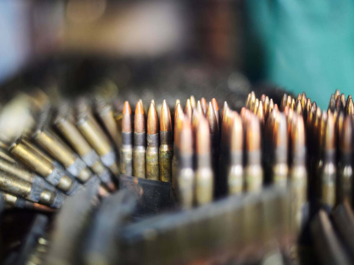 Terminó la destrucción de 14 toneladas de material de guerra de las disidencias de Walter Mendoza