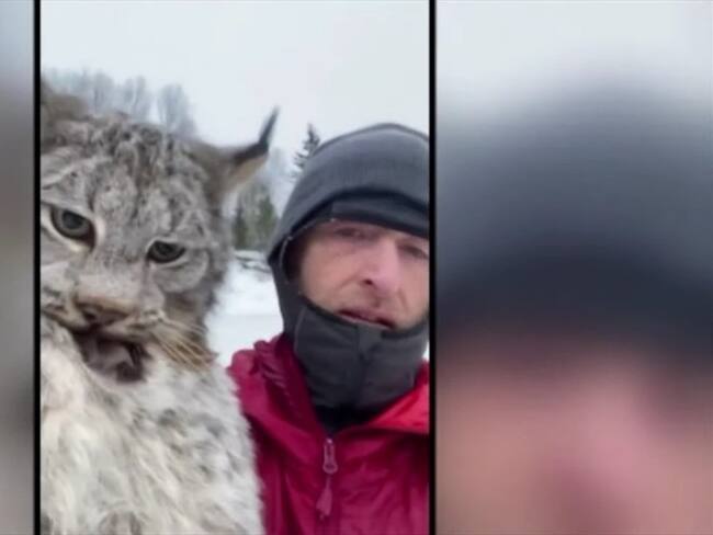 Un campesino tomó por el cuello a un lince y lo "regañó" por comerse sus gallinas. Foto: Captura de video