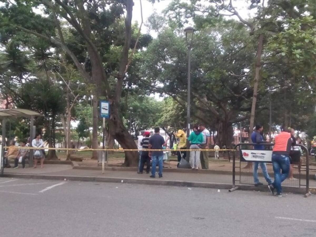 Critican ubicación de 530 vendedores ambulantes en los parques de Bucaramanga