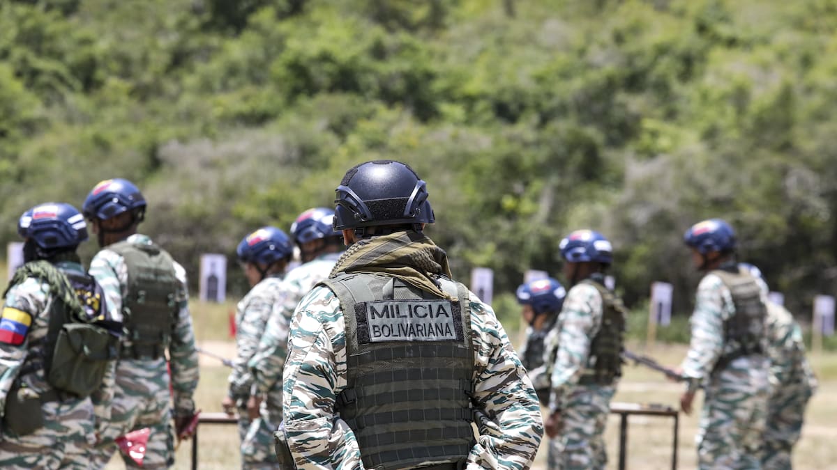 Venezuela destruyó campamentos de drogas de ELN y FARC en su territorio