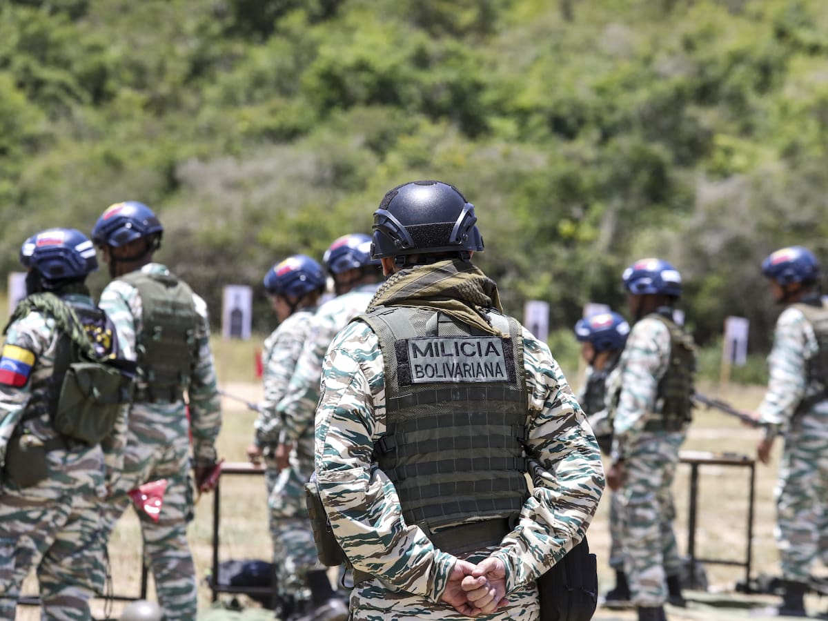 Venezuela destruyó campamentos de drogas de ELN y FARC en su territorio