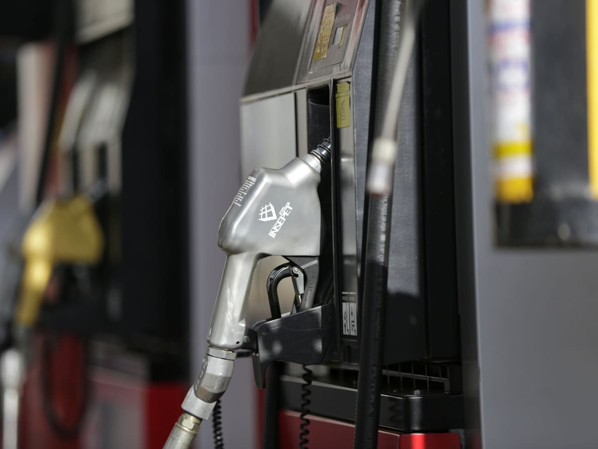 Sector productivo del Cauca reclama los mismos beneficios económicos de Nariño