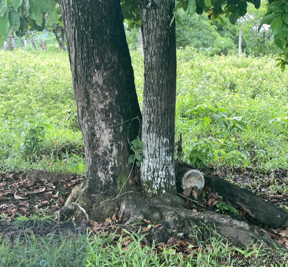 Ejército trata de desactivar artefacto explosivo en el Catatumbo. Foto: Ejército.