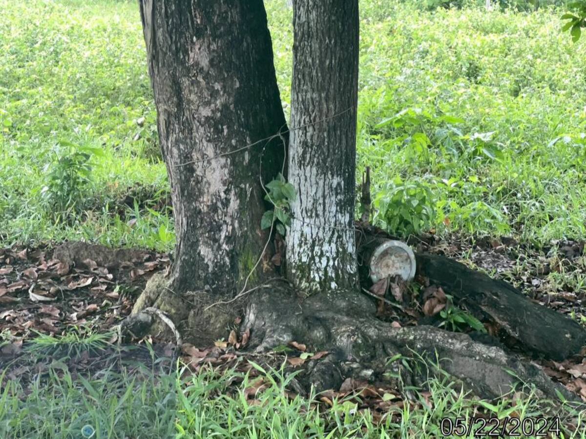 Alerta por presunto artefacto explosivo en el Catatumbo, Norte de Santander
