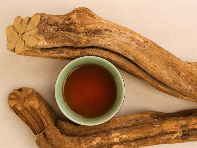 Estudio afirma que la ayahuasca o yagé fomenta la formación de nuevas neuronas