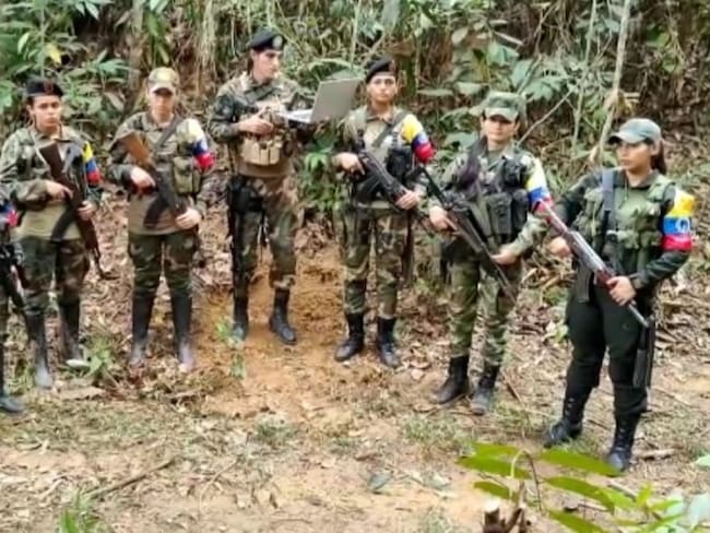 FARC-EP anuncia cese al fuego unilateral - Foto: Farc-EP