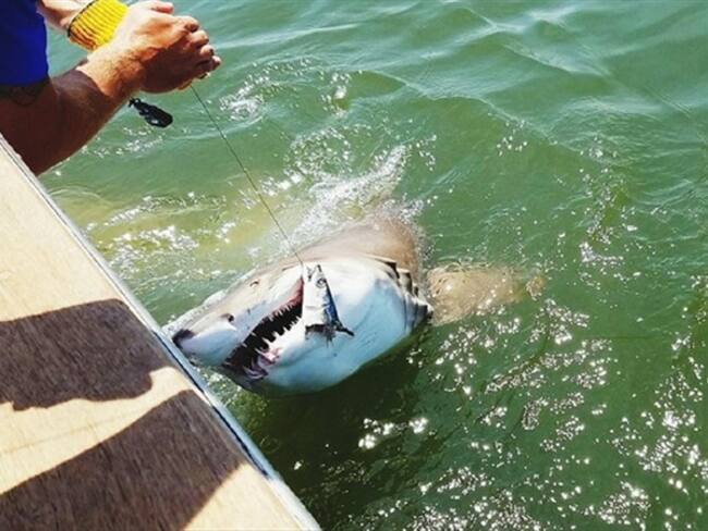 Imagen de referencia. Foto: Getty Images