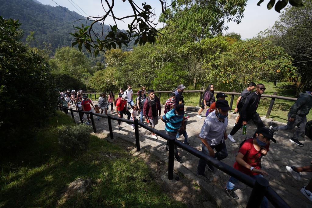 Sendero del cerro Monserrate | Foto: Instituto Distrital de Recreación y Deporte