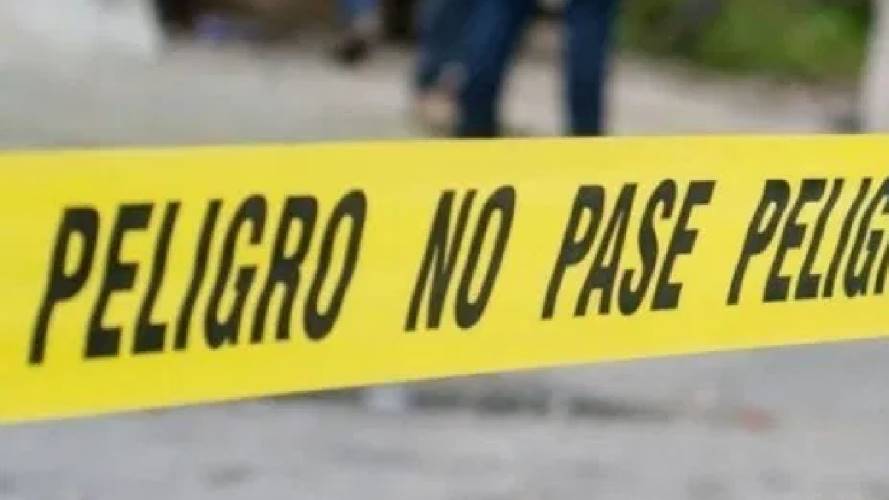 sicariato / suministrada