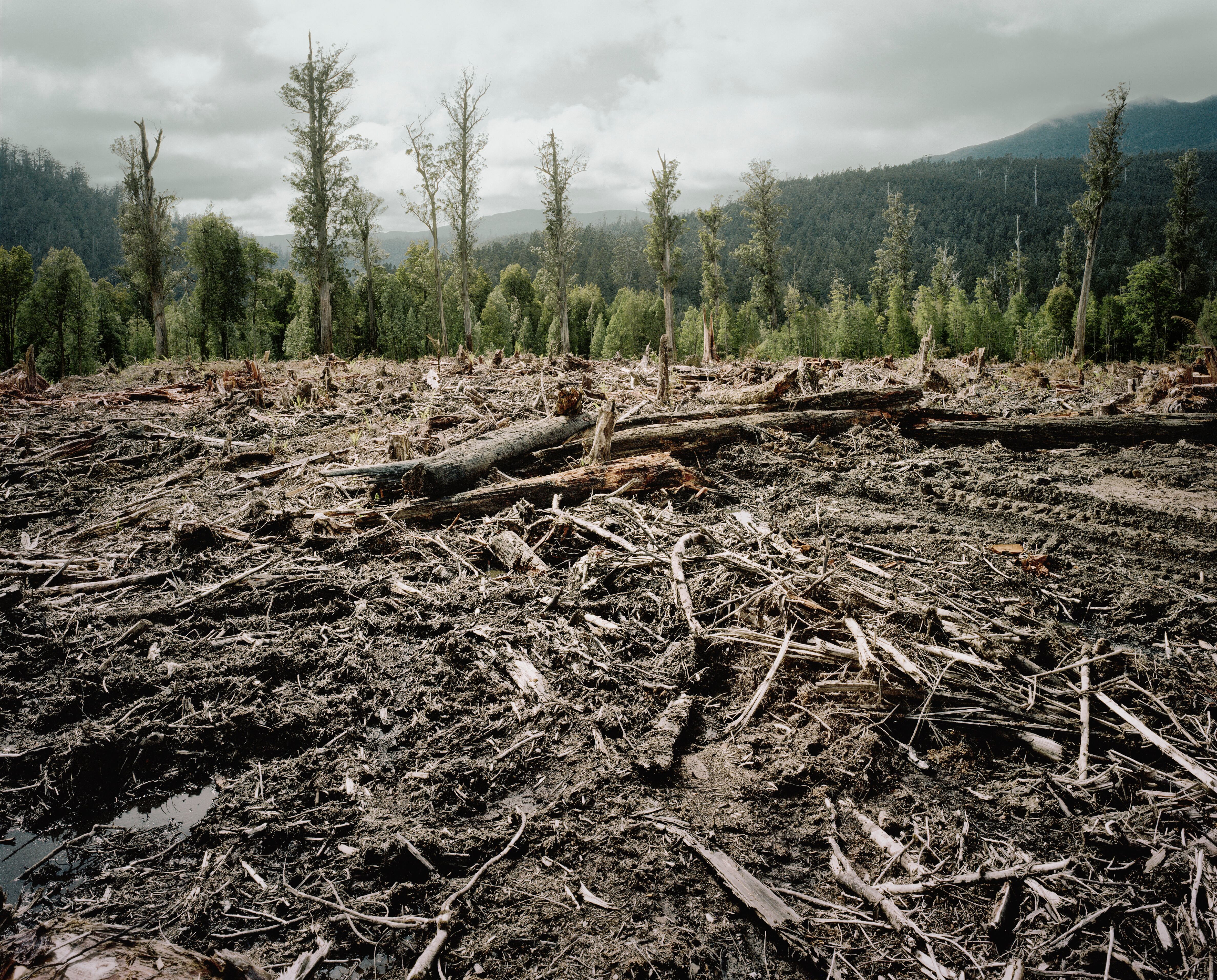 El tiempo se agotó en la lucha contra el cambio climático: ¿cómo cambiará nuestro día a día?. Foto: Getty Images
