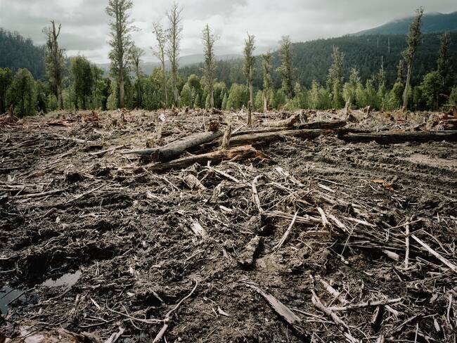 El tiempo se agotó en la lucha contra el cambio climático: ¿cómo cambiará nuestro día a día?. Foto: Getty Images