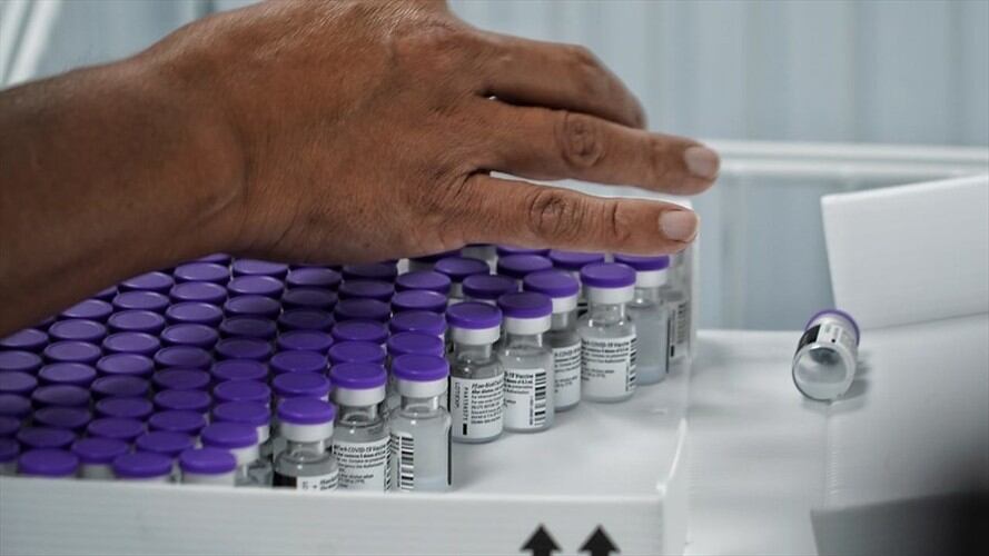 Santa Marta solicitó estudio científico que evidencie si existen cepas extranjeras . Foto: Colprensa