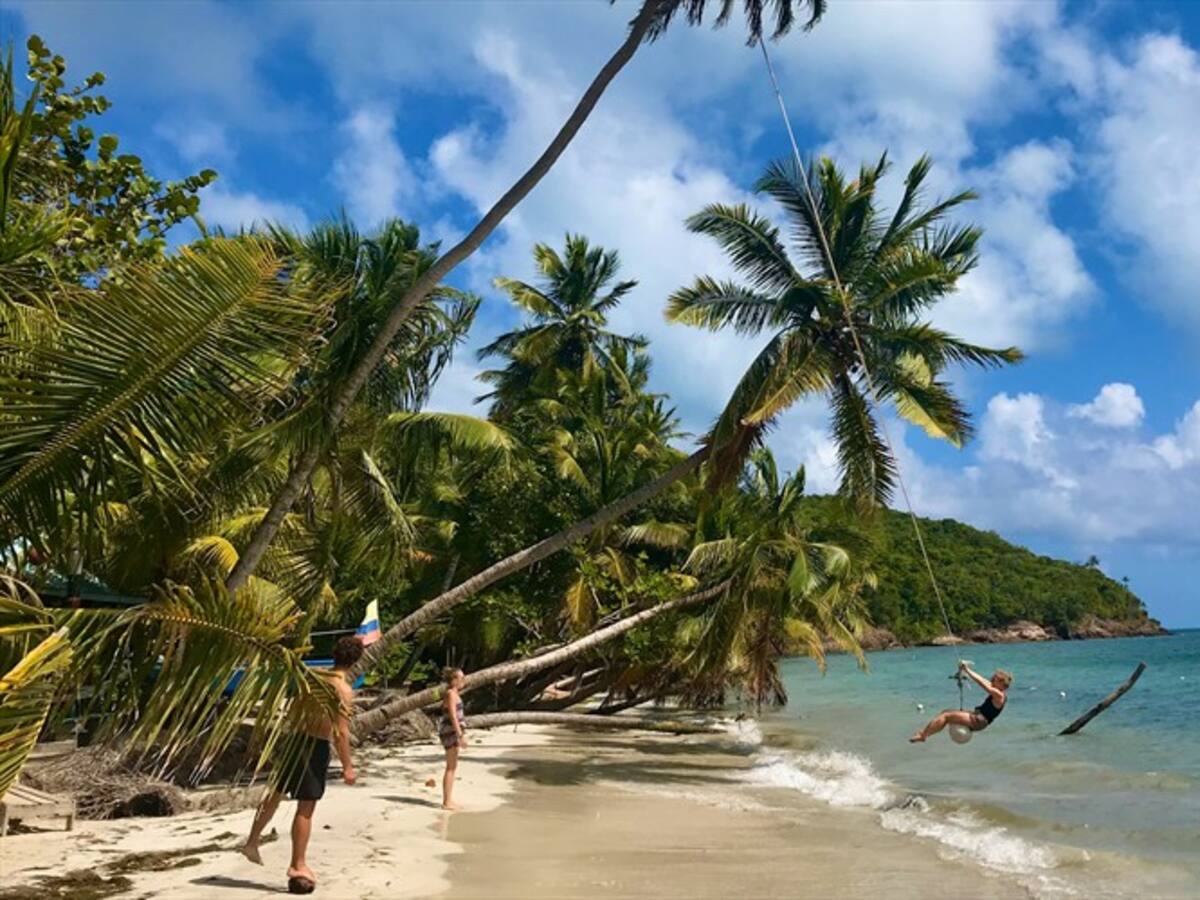 ¿Cómo donar a Providencia? Sector empresarial ayudará a la reconstrucción