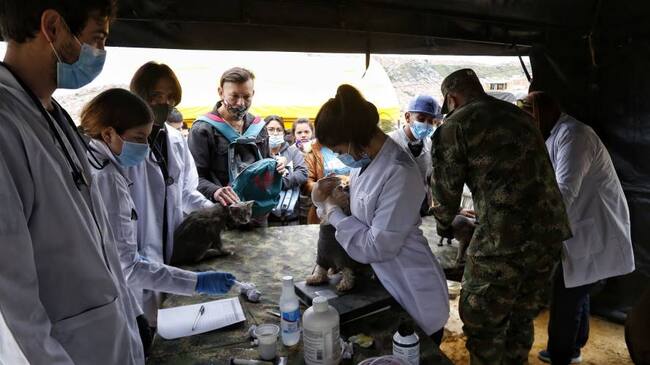 Jornada de vacunación animal del Ministerio de la Defensa Nacional, Ejército Nacional y Policía Nacional en Bogotá, septiembre de 2021. Foto: Colprensa
