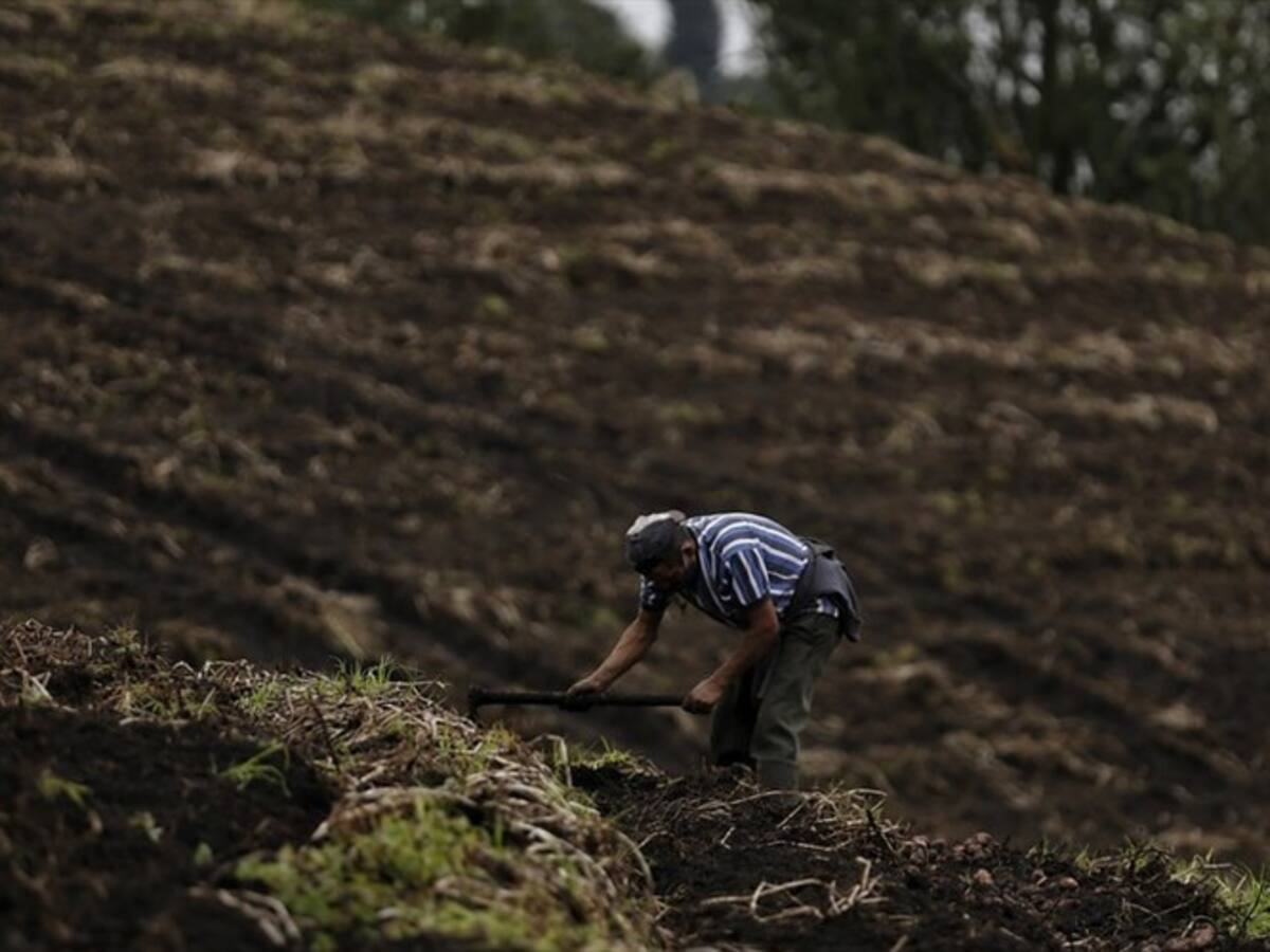 Alcaldía de Medellín responde a campesinos que perdieron sus cosechas