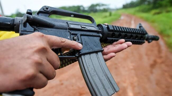 La policía de Bogotá las encontró en una vivienda del barrio Britalia en la localidad de Kennedy.- Referencia. Foto: Getty Images