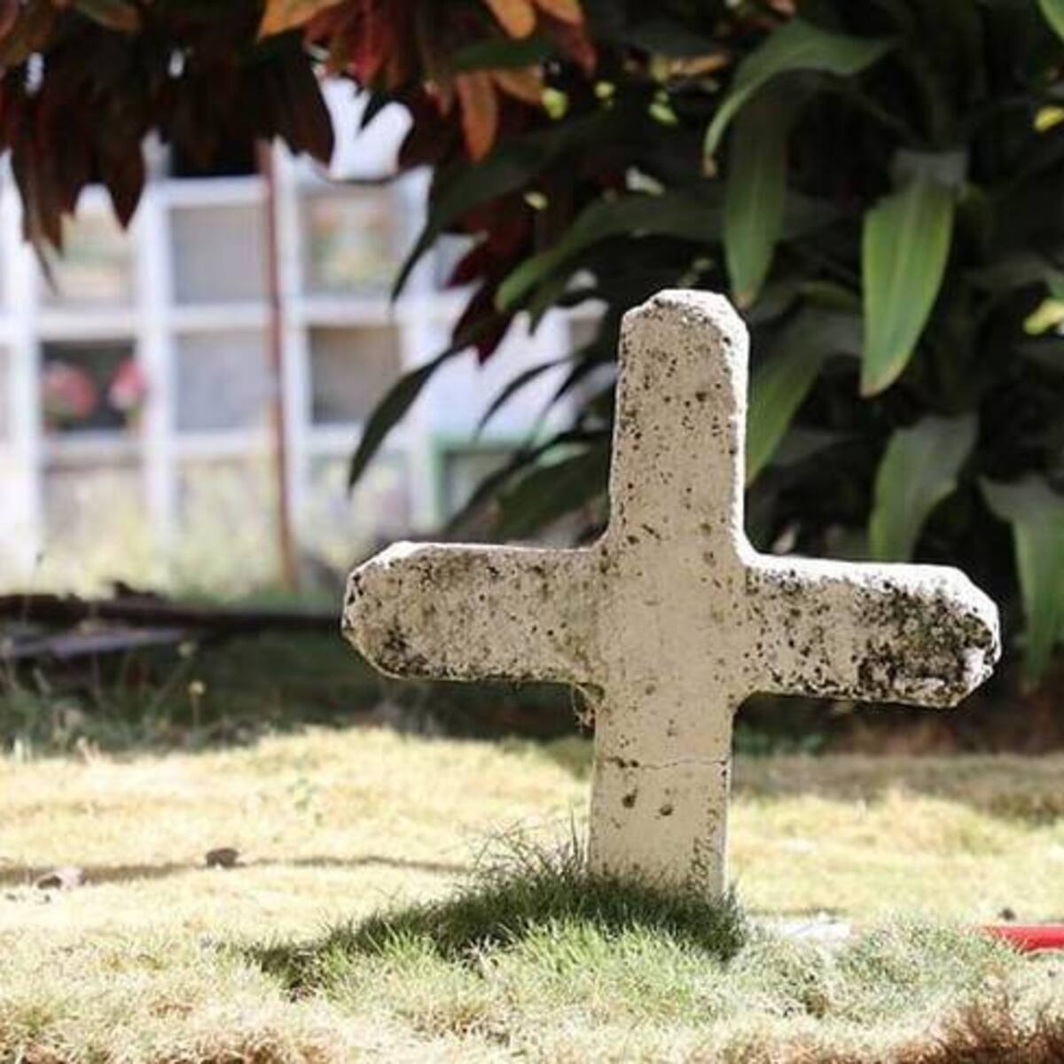 JEP amenaza con incidente de desacato a alcaldía de Riosucio por caso cementerios