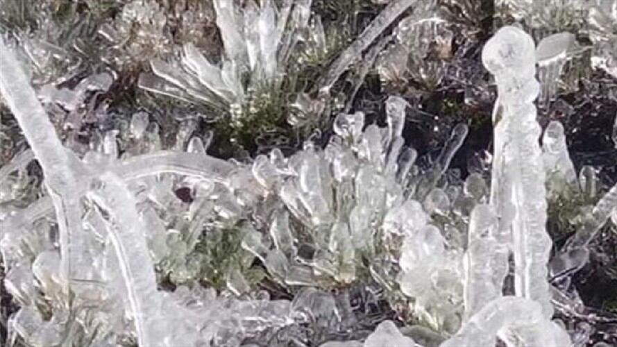 Heladas en Tona. Foto:Suministrada.