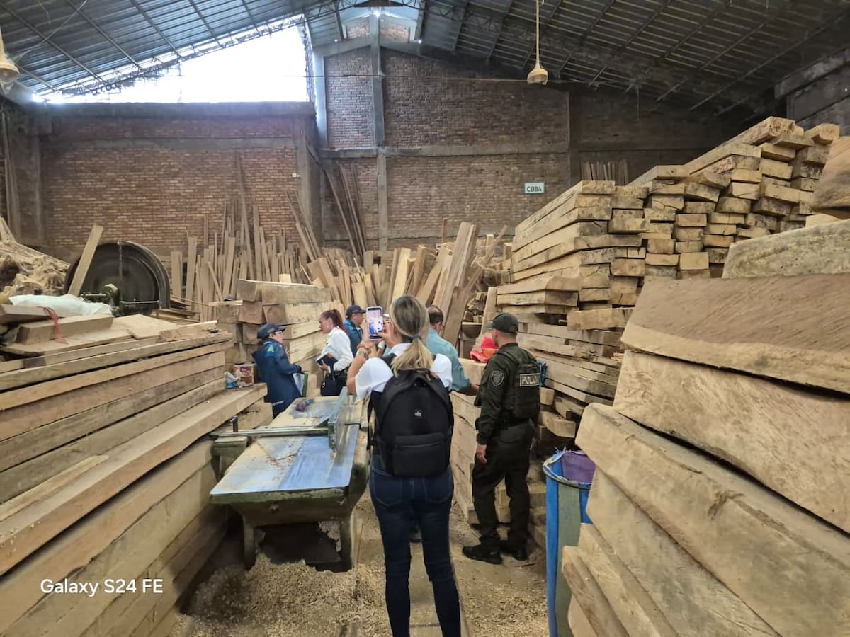 MinAmbiente dispondrá productos forestales decomisados para la reconstrucción tras terremoto