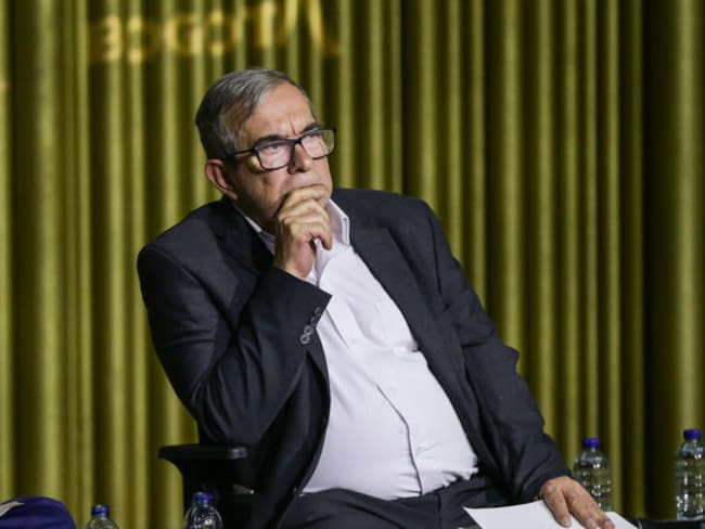 Se demostrará si acertamos con el acuerdo: Londoño tras decisión de ONU sobre Misión de Verificación