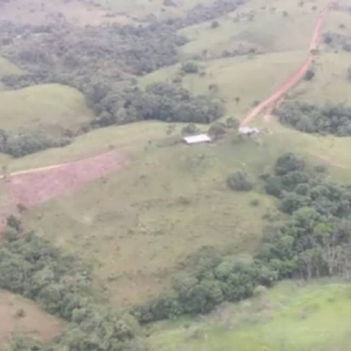 Extinción de dominio a bienes de las extintas Farc para ganadería extensiva