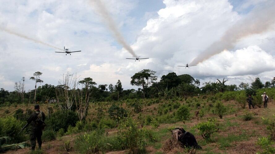 La Universidad Sergio Arboleda sacó un informe sobre el glifosato. Foto: Colprensa