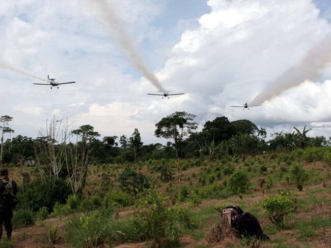 La Universidad Sergio Arboleda sacó un informe sobre el glifosato. Foto: Colprensa