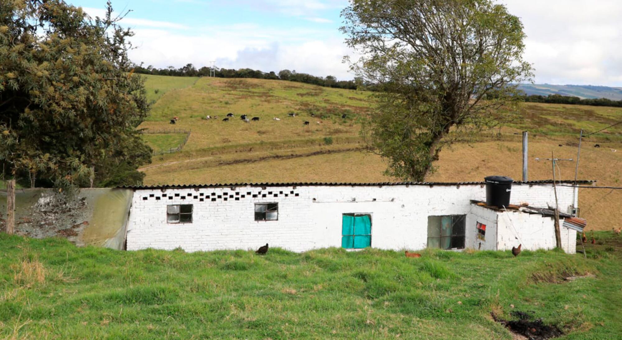Imagen de Referencia/ Vivienda rural, Minvivienda