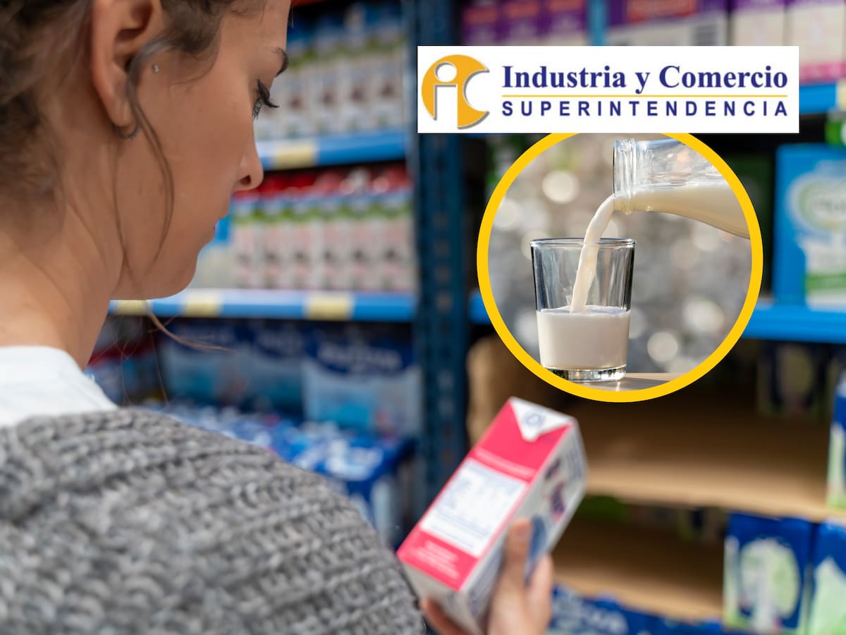¿Qué empresas de leche fueron multadas por tener lactosuero? Lista completa y marcas que no lo usan