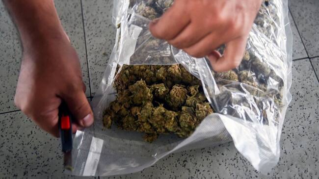 La Policía Metropolitana de Bogotá halló más de 46.000 gramos de marihuana que pretendían enviar en dos encomiendas distintas. Foto: Getty Images / Joaquín Sarmiento