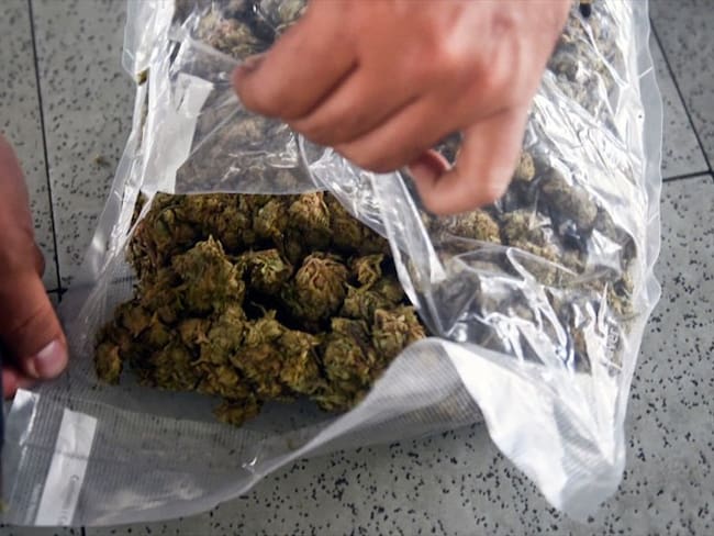 La Policía Metropolitana de Bogotá halló más de 46.000 gramos de marihuana que pretendían enviar en dos encomiendas distintas. Foto: Getty Images / Joaquín Sarmiento