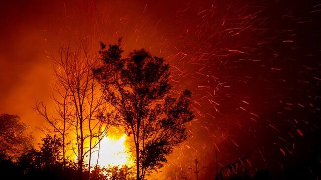 La salud de alrededor de diez millones de niños en riesgo por incendios en Indonesia . Foto: Agencia EFE