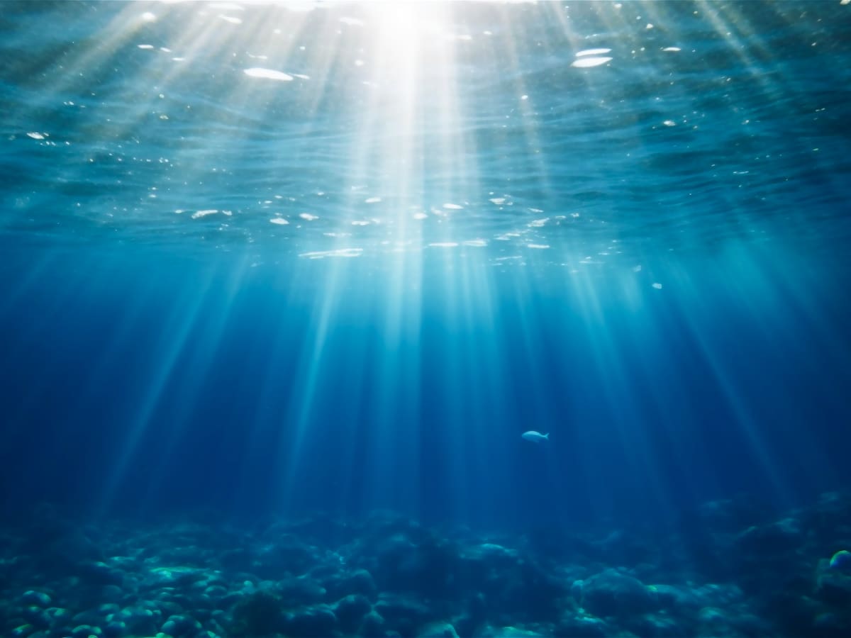 Japón verterá agua residual de Fukushima en el mar, ¿cuál puede ser su impacto?