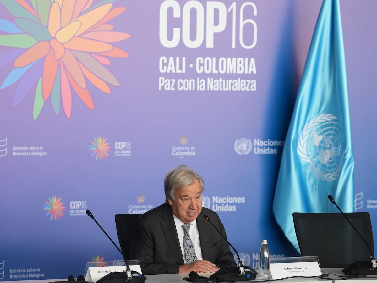 Secretario general de ONU pide movilizar más financiamiento para biodiversidad en la COP16