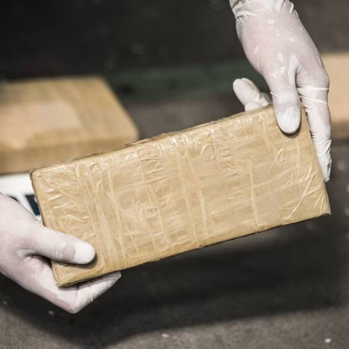 Incautan 400 kilos de cocaína en una vivienda en Barranquilla