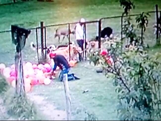 Denuncian maltrato animal en guardería canina de Chía