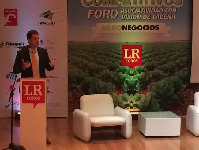 El viceministro de Agricultura, Juan Pablo Díaz-Granados. Foto: Colprensa.