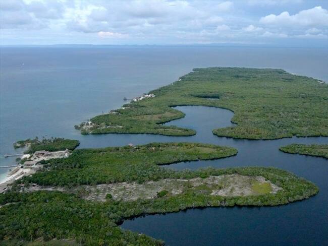 Alerta por tala de los manglares de isla de Tintipán