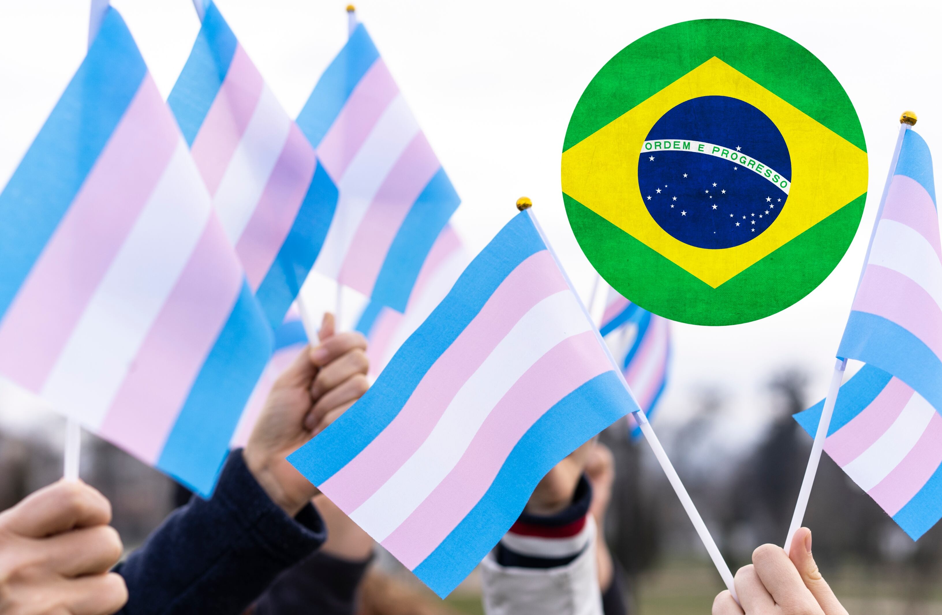 Banderas trans y bandera de Brasil de Getty Images