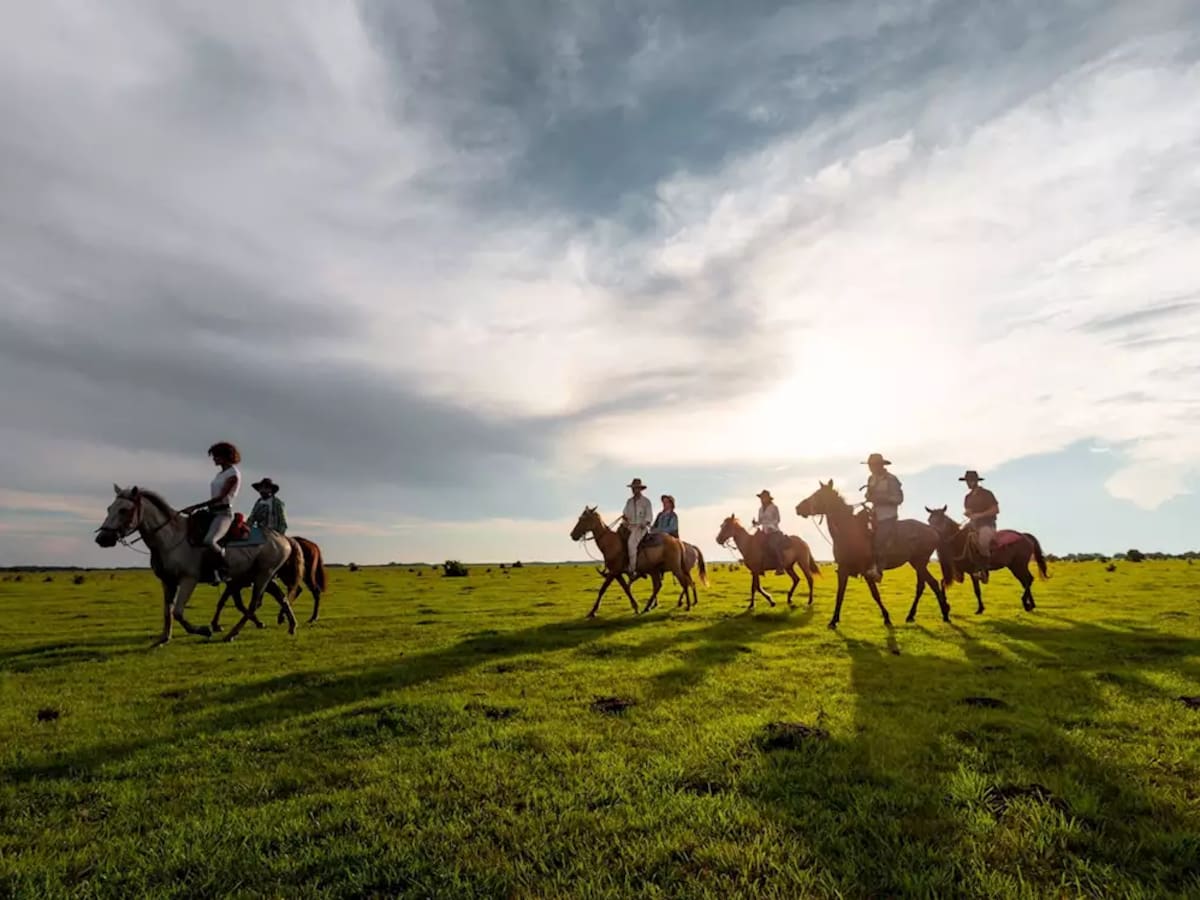 Safari llanero colombiano, ¿de qué trata?
