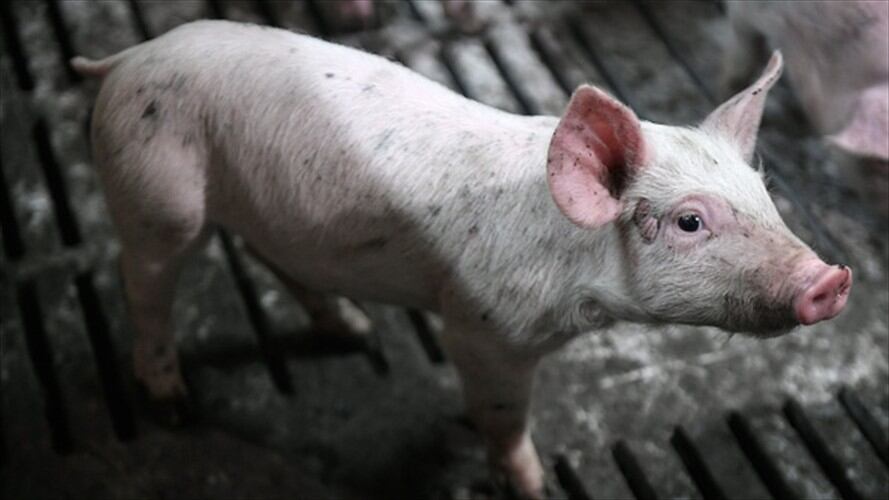 Imagen de referencia. Foto: Getty Images