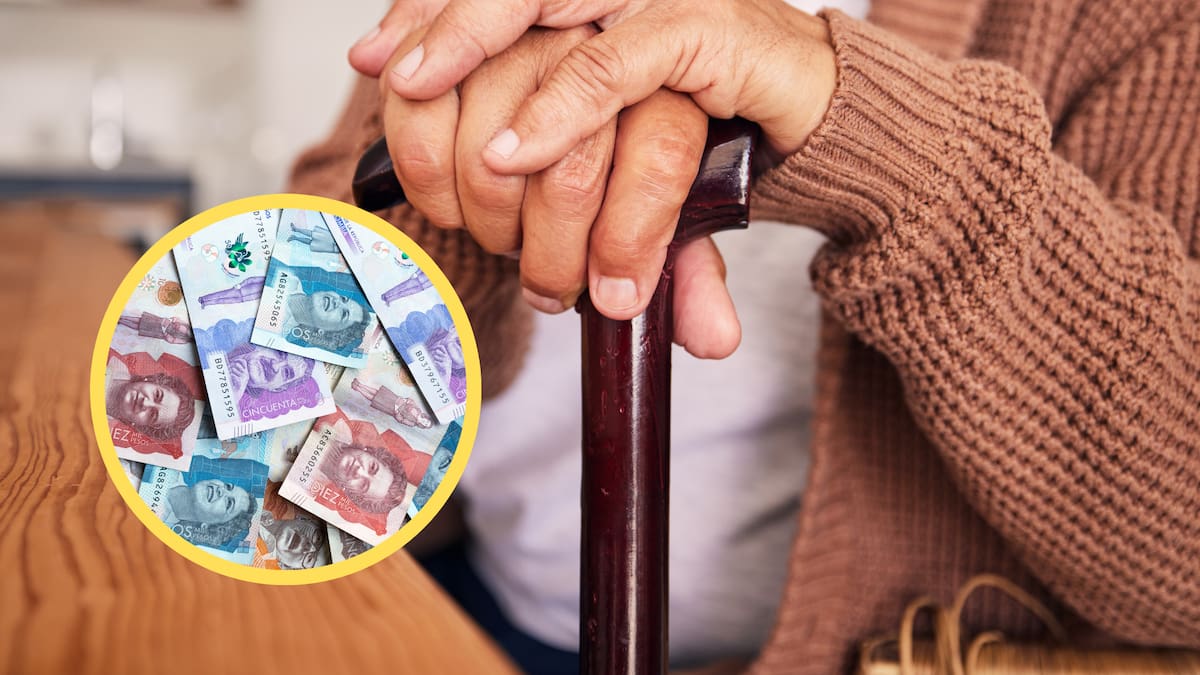 ¿Cuáles son los criterios de priorización del subsidio de Adulto Mayor?