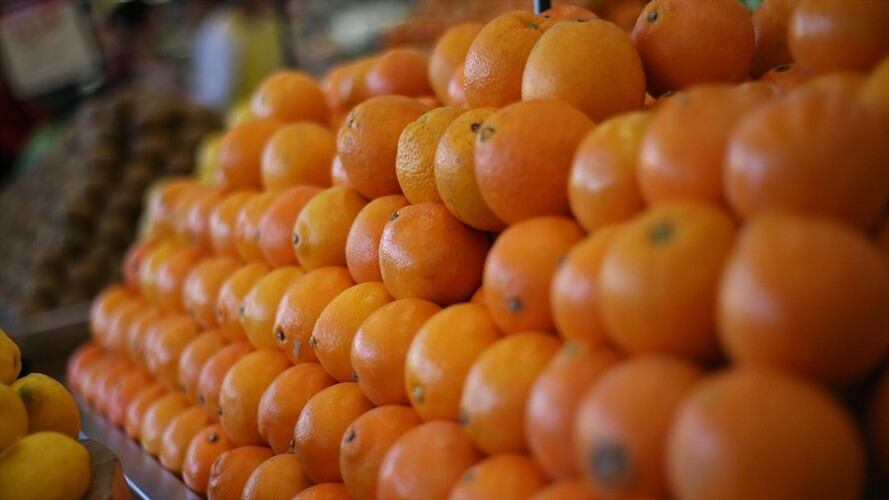 El Ica mantiene lucha para contener bacteria que ataca los cultivos de cítricos en el país. Foto: Colprensa