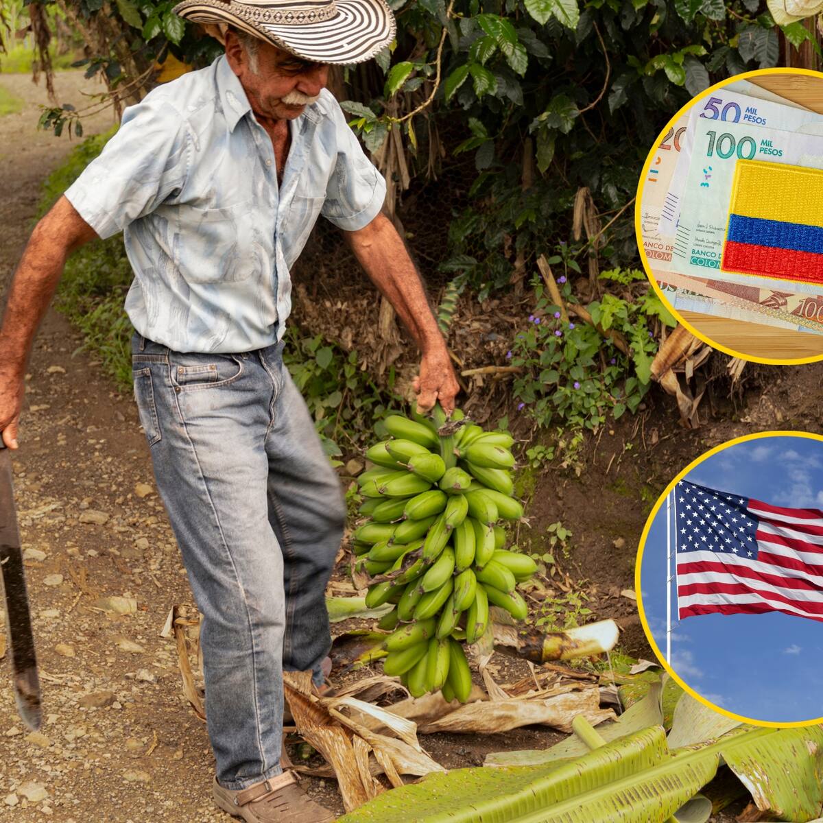 Adelantamos conversaciones para evitar que el arancel se traslade al productor colombiano: Augura